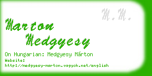 marton medgyesy business card